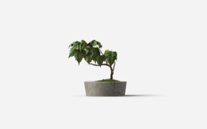 product-6